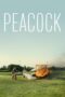 Peacock (2025) Sub Indonesia Peacock (2025) Sub Indonesia