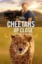 Cheetahs Up Close with Bertie Gregory (2026) Sub Indonesia Cheetahs Up Close with Bertie Gregory (2026) Sub Indonesia